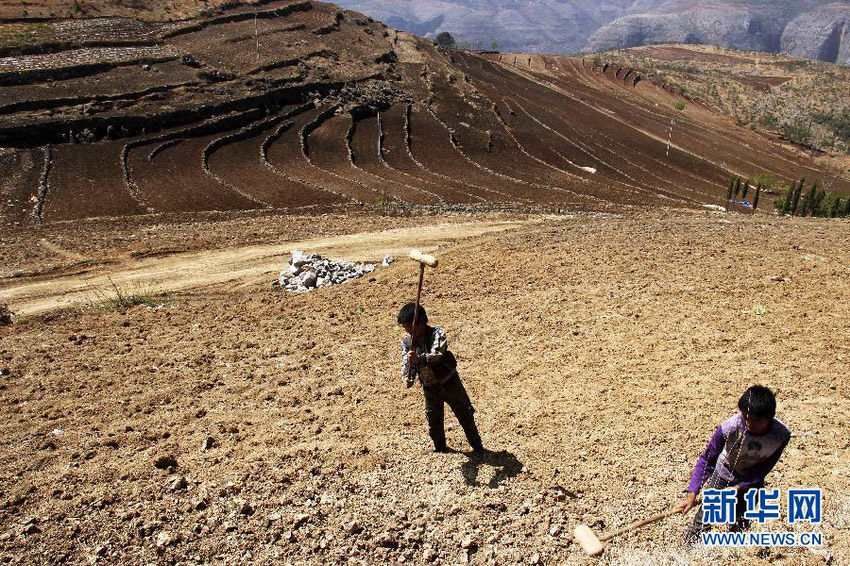 3月16日，在貴州省畢節(jié)市威寧縣斗古鄉(xiāng)中關(guān)村，兩個(gè)孩子幫助家人在干旱的土地上勞動(dòng)。