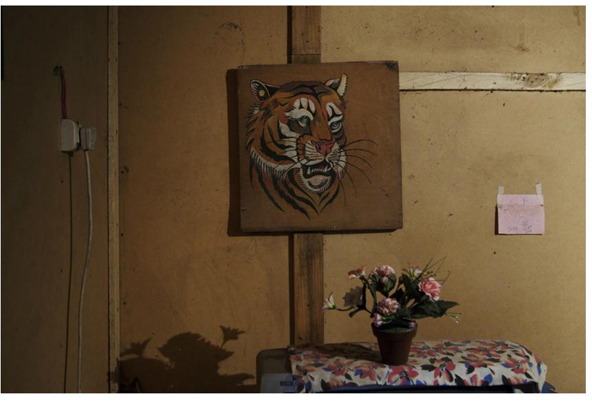 賣(mài)淫母親的雙重角色