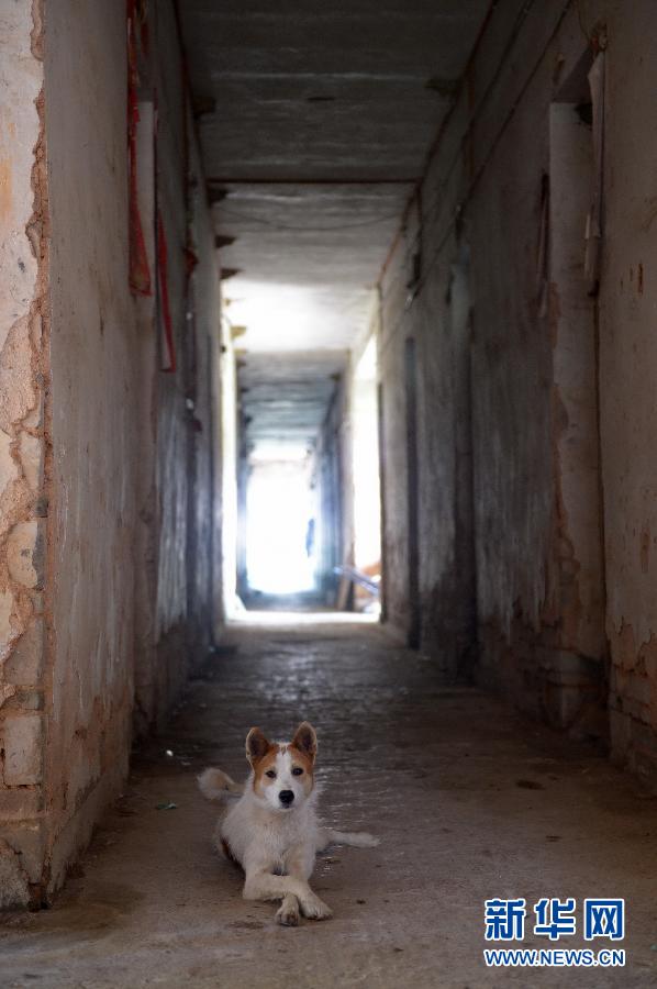 農(nóng)場(chǎng)棚戶區(qū)的最后留守家庭：留下的是回憶，迎來的是幸福