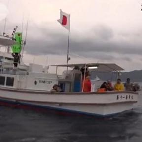 中國(guó)海監(jiān)驅(qū)逐日艦艇