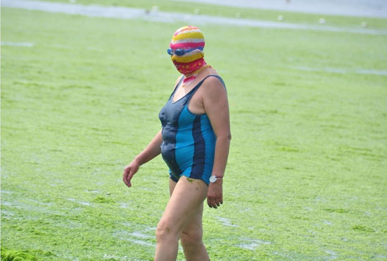 2013年7月3日，山東青島青島高溫來襲，“青島大媽”不懼滸苔，戴著“強(qiáng)盜面具”出現(xiàn)在海水浴場消暑降