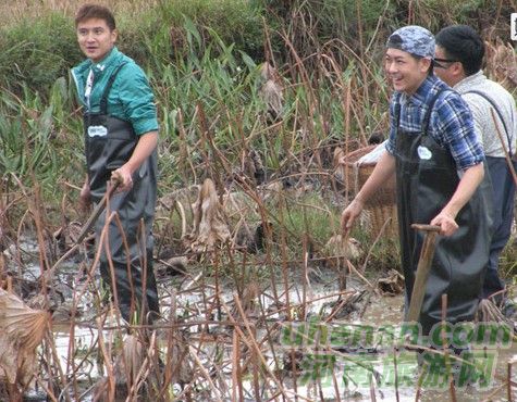 爸爸去哪兒？親密接觸荷花仙子