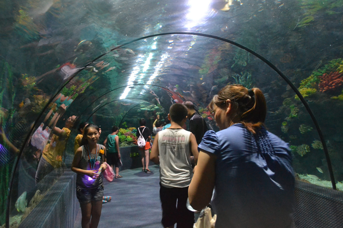 春節(jié)去哪兒？出游地圖告訴您！