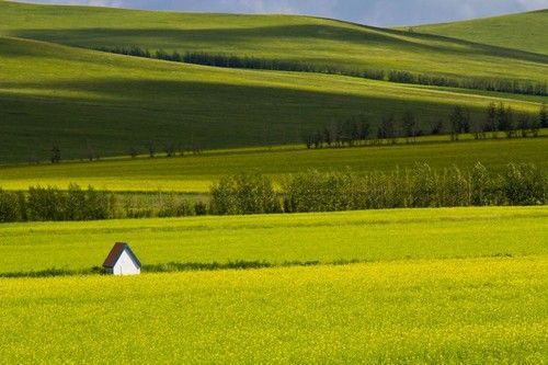 盤(pán)點(diǎn)全國(guó)13處絕美的油菜花觀賞地