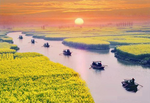 如何拍攝油菜花？達人教你7個拍攝技巧