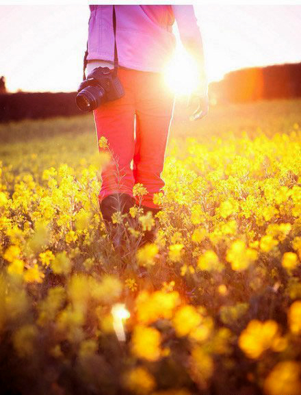 如何拍攝油菜花？達人教你7個拍攝技巧