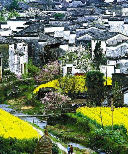 如何拍攝油菜花？達人教你7個拍攝技巧