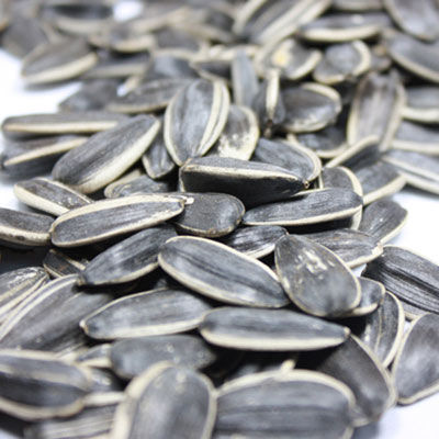 出國(guó)旅游海關(guān)檢查有講究 啥能帶啥不能帶？