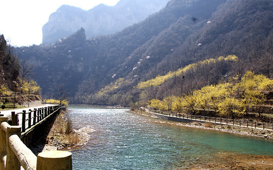 有一種呼喚，叫春天里的蟒河！