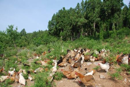 旅游真奇妙 這些事你知道嗎？