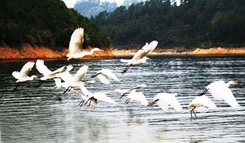 考完去哪兒？千島湖中、高考生門票大優(yōu)惠！