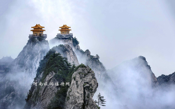 情定老君山 喊出你的愛 趕緊行動吧！