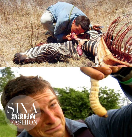 大型動物和肉蟲子……也都能生吞活剝！