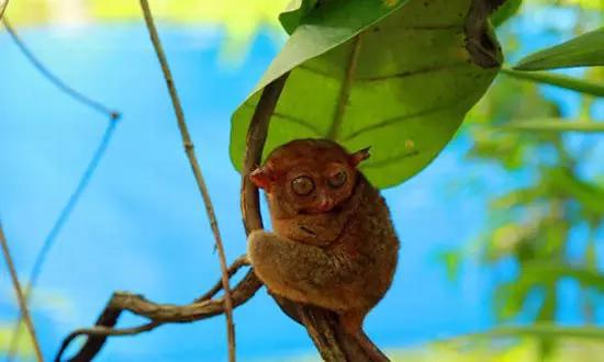 適合在冬天旅游的十個絕美海島！