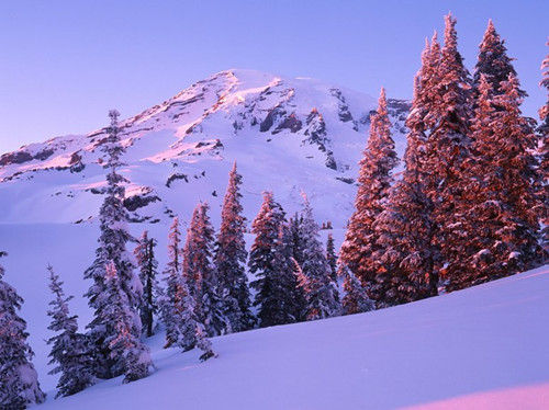 華盛頓，雷尼爾山