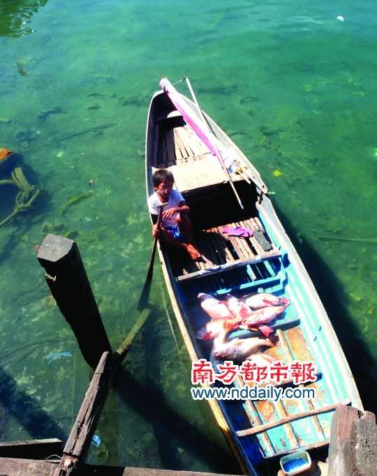 漁船上的孩子。