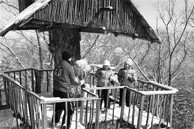 　　clubmed里有來自國外的滑雪教練教兒童滑雪?！? oldsrc=