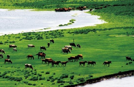 　　處處翠色欲流,馬兒自然入畫(huà)?！? complete=