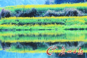 　　江嶺梯田落差不大,但有花有水。