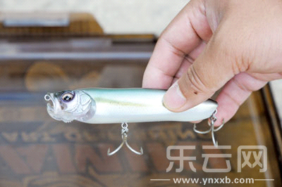 　　又稱擬餌釣魚,起源于歐洲,國內(nèi)翻譯為“路亞”。