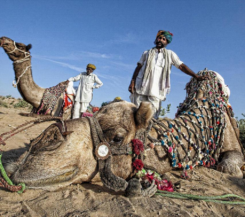 全家出國游去哪里？推薦十佳旅游勝地