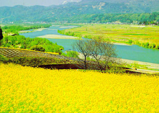 信陽舉行“捷安特杯”美麗鄉(xiāng)村全國(guó)單車嘉年華