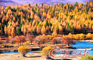 　　呼倫貝爾秋色。