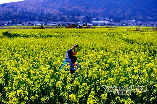 　　不論從人文氣息還是田園自然風(fēng)光,都值得我們停靠。(圖片來(lái)源:CFP)