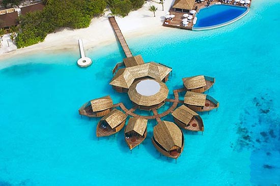 在馬爾代夫莉莉島探訪(fǎng)水里的世外桃源