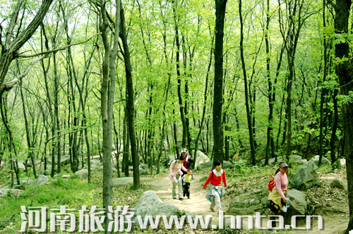 美酒晚會(huì)比賽一個(gè)都不少 四月到金頂山景區(qū)樂(lè)翻天