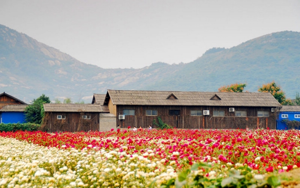 別樣蜜月，河南最適宜新婚度假的景區(qū)