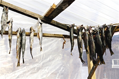 長(zhǎng)白山腳下一家小餐館內(nèi)晾曬的冷水魚。
