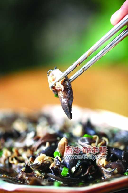 蒜蓉粉絲蒸蝸牛。