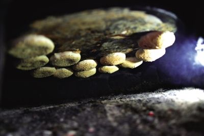 吊爐燒餅是黃驊最典型的面食之一，這種手藝在一些老院子里已經(jīng)傳承了上百年時(shí)間。