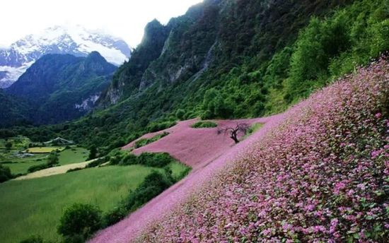 云南的另一個(gè)天堂 我約你一起去！