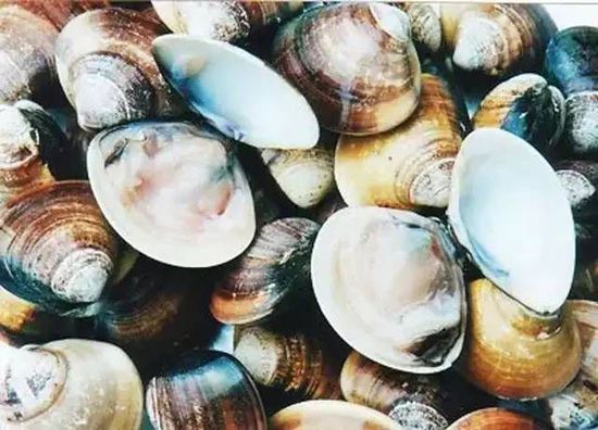 秋季最適合吃的海鮮是這10種 你吃對了嗎？