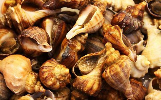 秋季最適合吃的海鮮是這10種 你吃對了嗎？