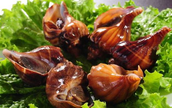 秋季最適合吃的海鮮是這10種 你吃對了嗎？