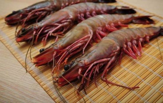 秋季最適合吃的海鮮是這10種 你吃對了嗎？