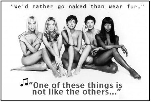 時(shí)尚圈第一組群?？棺h皮草大片