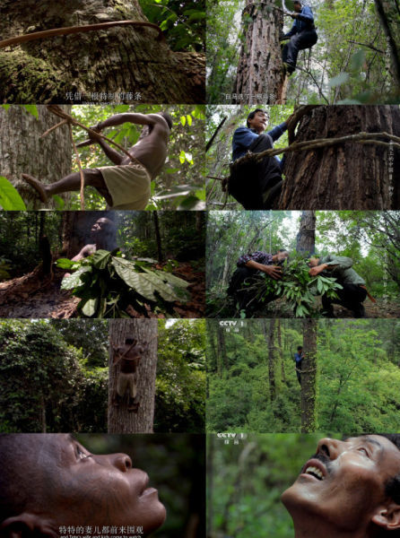 網友上傳《舌尖2》與BBC視頻截圖對比照