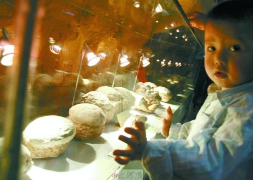 恐龍蛋，這回見識了吧！