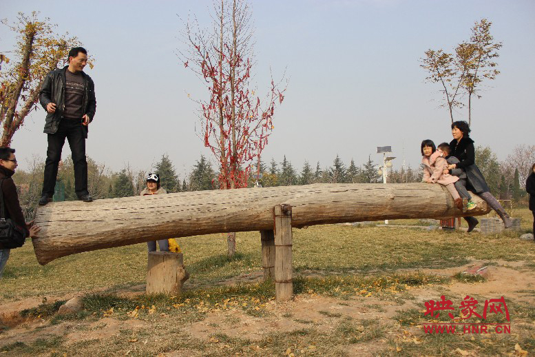 巨大的蹺蹺板，一棵樹。。?？赐娴亩噜? oldsrc=