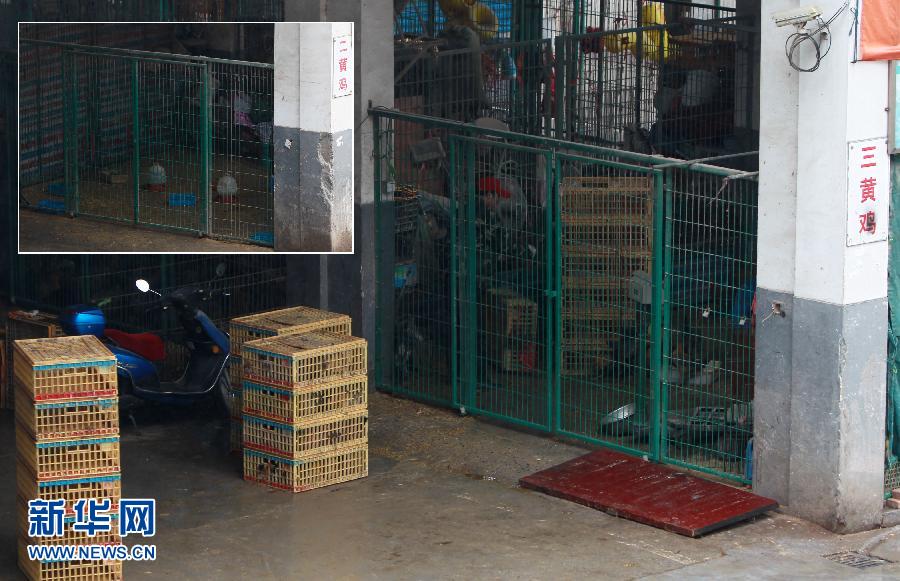 上海6日起暫?；钋萁灰?關(guān)閉所有活禽交易市場