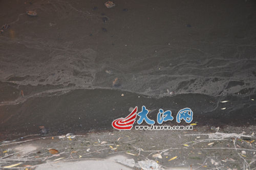 19日晚上的玉帶河，紅色河水變回灰綠色。