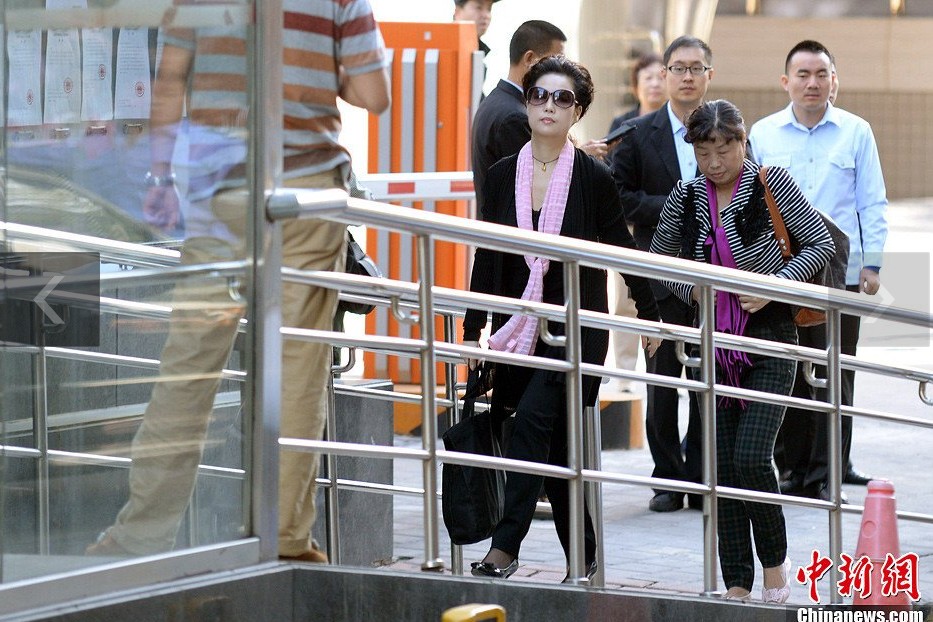 夢鴿現(xiàn)身海淀法院。中新網(wǎng)記者 金碩 攝