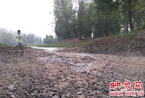 18日丹江水沿澎河流向白龜山水庫，孩子歡騰起來，跟著水頭奔跑。