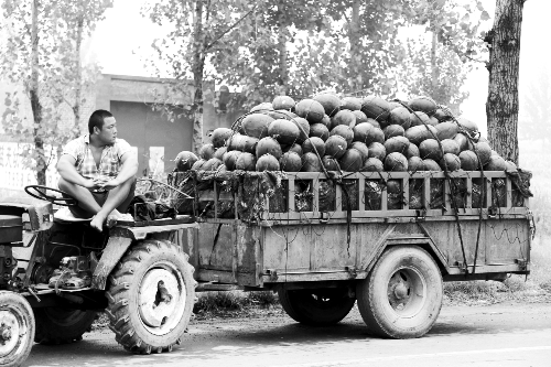 　看著滿滿一車瓜，一瓜農(nóng)愁眉不展。