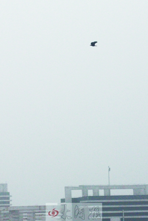 全省35個縣市發(fā)布惡劣天氣預警信號，其中15個發(fā)布大霧紅色預警