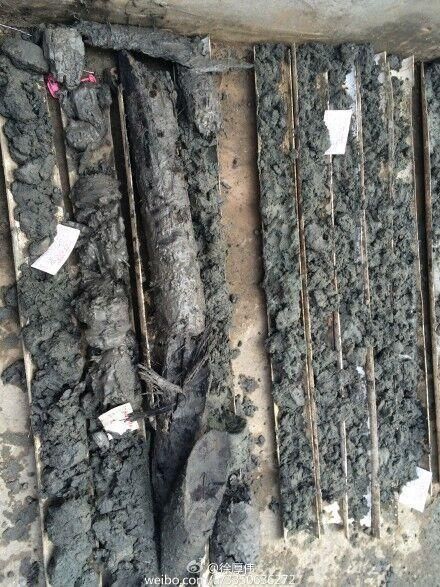 武漢地鐵施工現場挖出疑似天價烏木